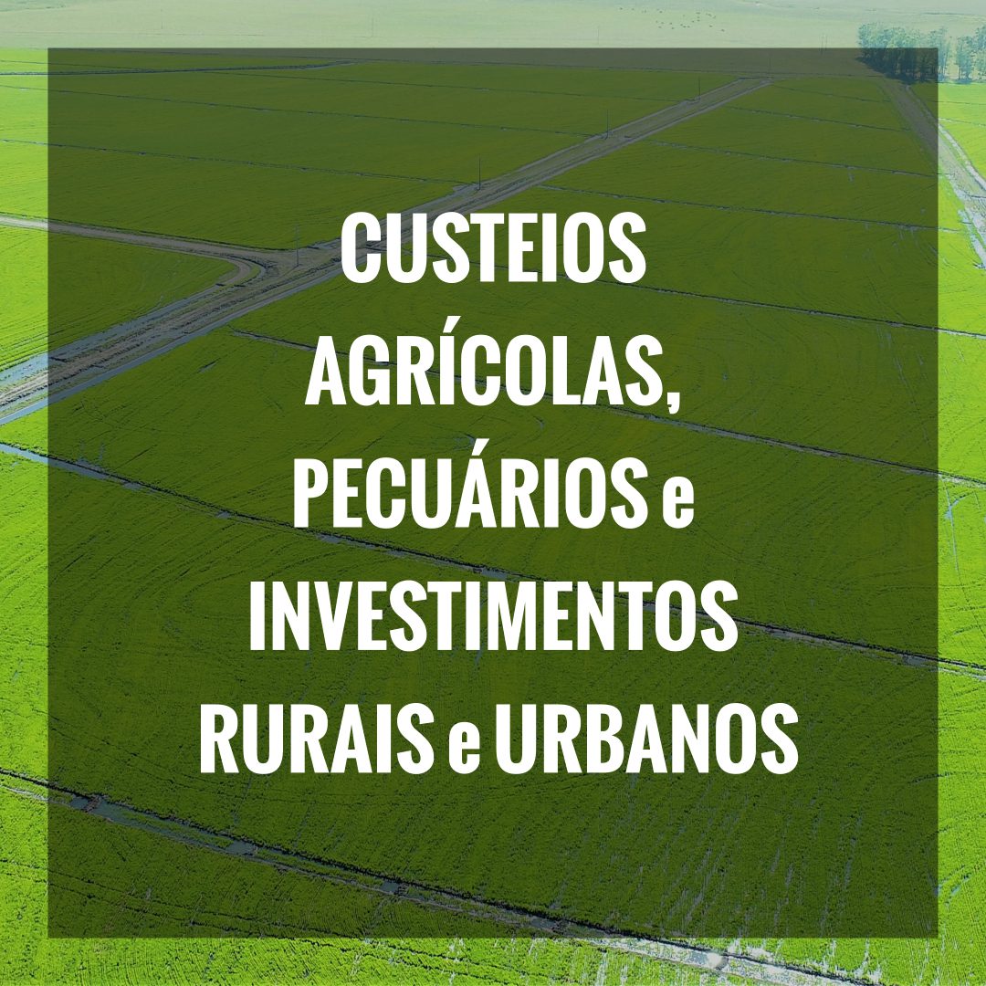 CUSTEIOS AGRÍCOLAS, PECUÁRIOS E INVESTIMENTOS RURAIS