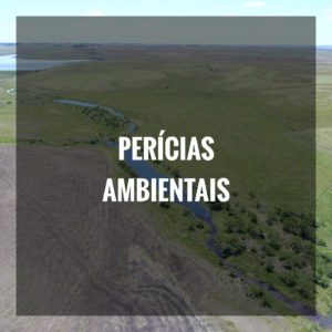 PERÍCIAS AMBIENTAIS
