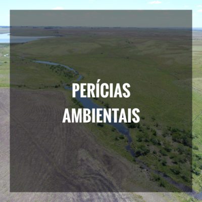PERÍCIAS AMBIENTAIS