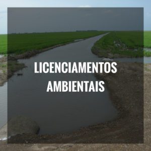 LICENCIAMENTOS AMBIENTAIS